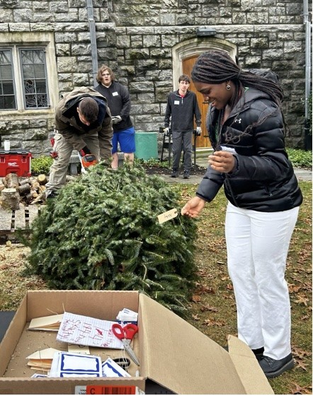 AVID students helping at Tree and Wreath Sale